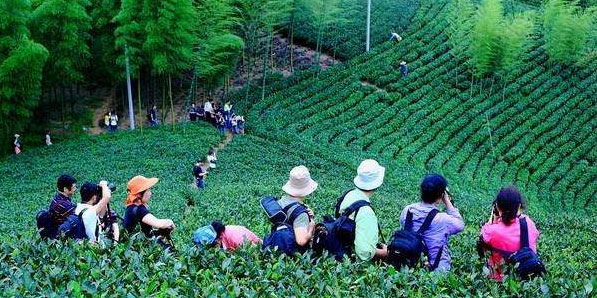 

旅通软件,旅游,独自旅游  
